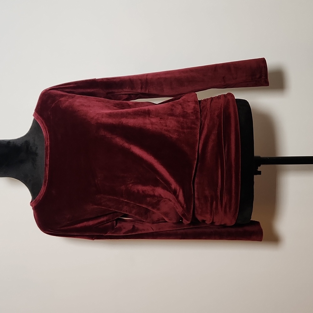 Anthropologie Plush Velvet Long-Sleeve Sweatshirt in Deep Burgundy